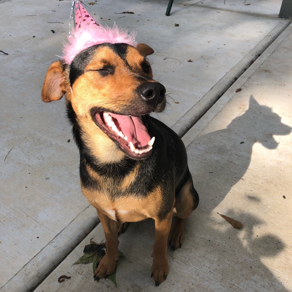 Meet your Posher, Tj